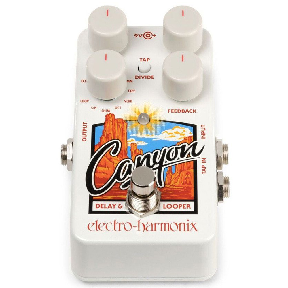 Педаль эффектов Electro-Harmonix Canyon Delay & Looper